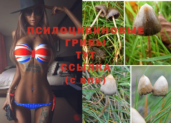 метамфетамин Алзамай